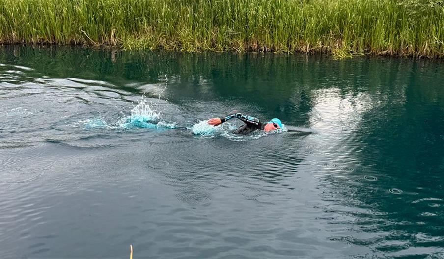 Open Water Swimmer