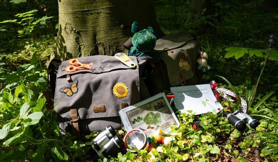 Explorer Backpacks