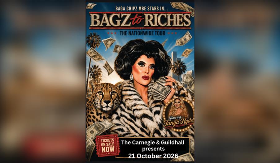 Baga Chipz: Bagz to Riches