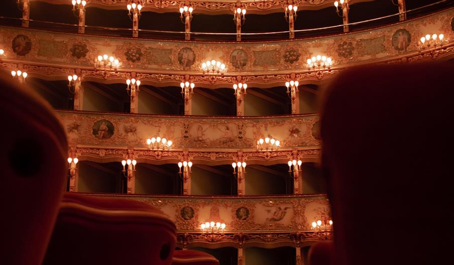 Softly lit theatre with plush red seats