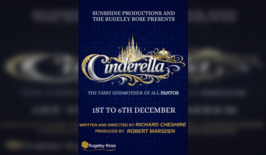 Cinderella The Fairy Godmother of all pantos!