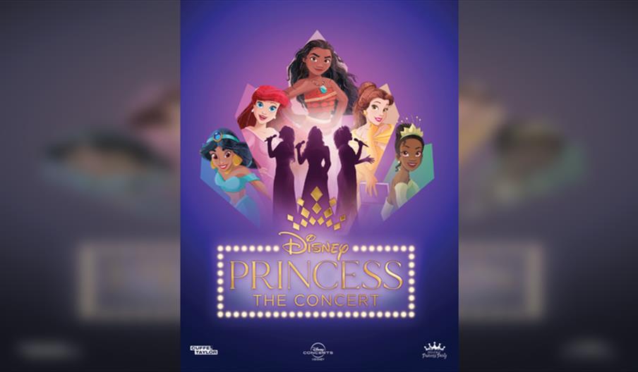 Disney Princess - The Concert