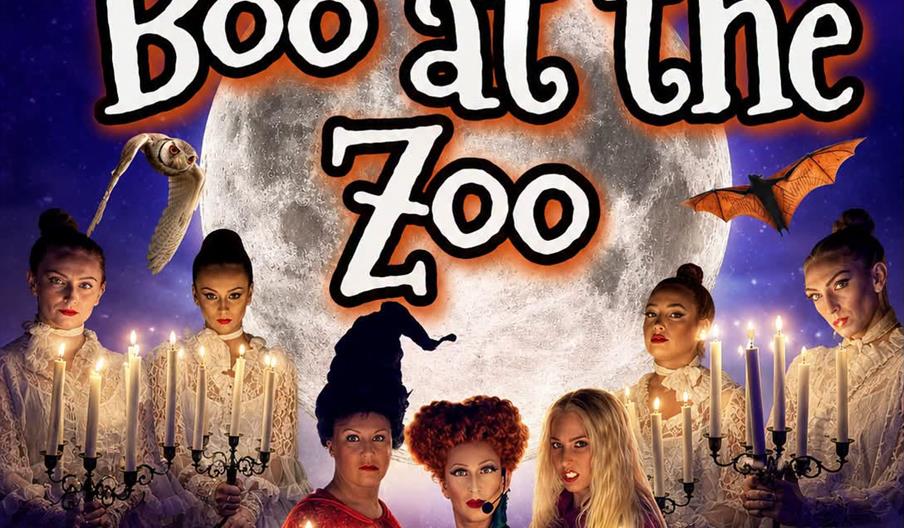 Boo at the Zoo