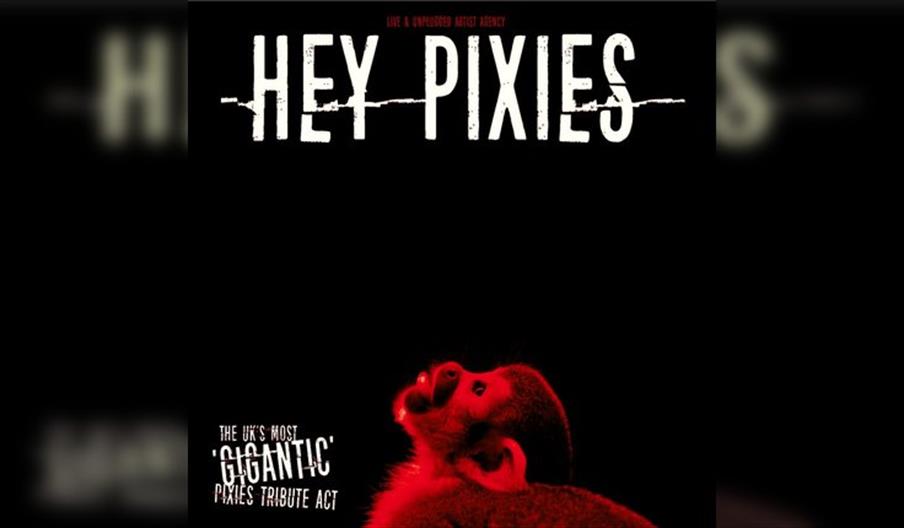 Hey Pixies