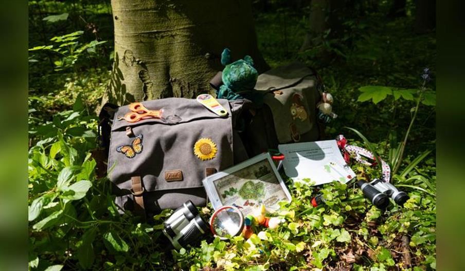 Explorer Backpacks