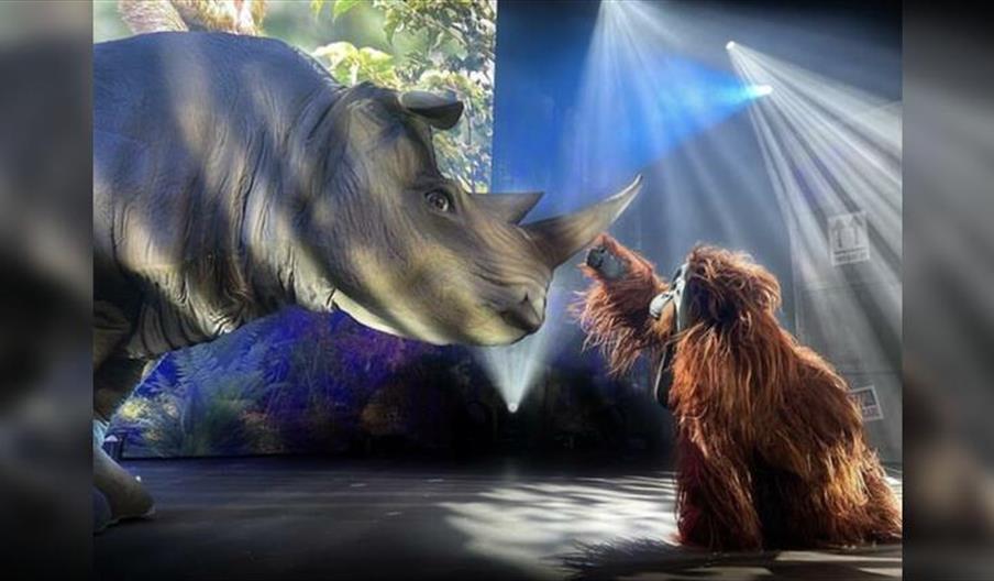 The Animal Guyz: Amazing Animals