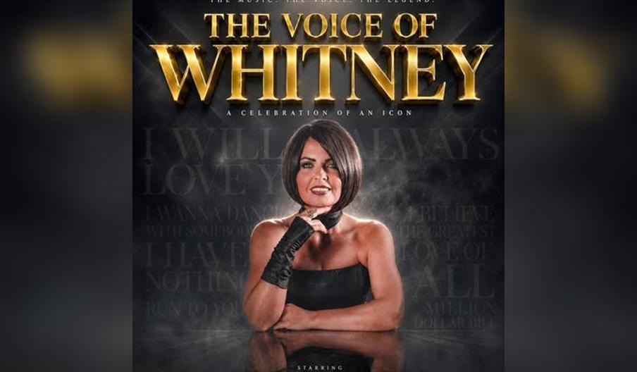 Whitney Houston Tribute
