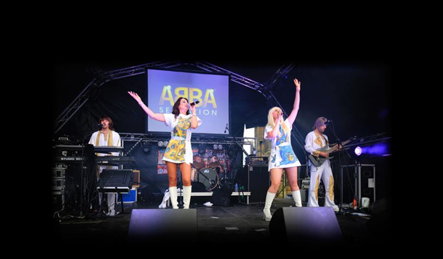 Abba Tribute Band Sensation