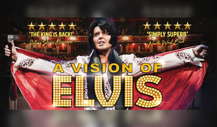 A Vision of Elvis