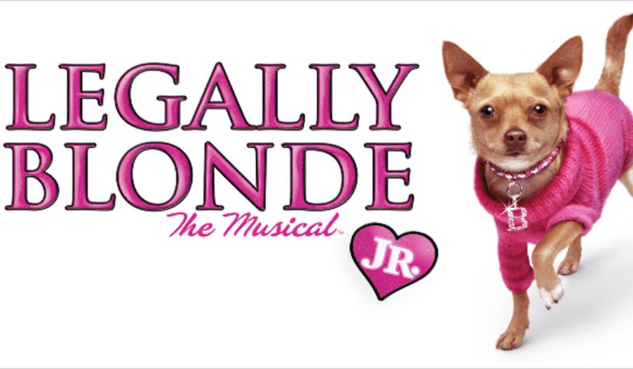 Legally Blonde Jr. - Summer School Performance