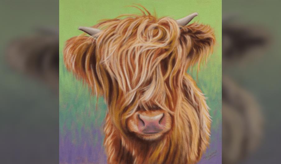 Pastels workshop - Highland Cow in soft pastel