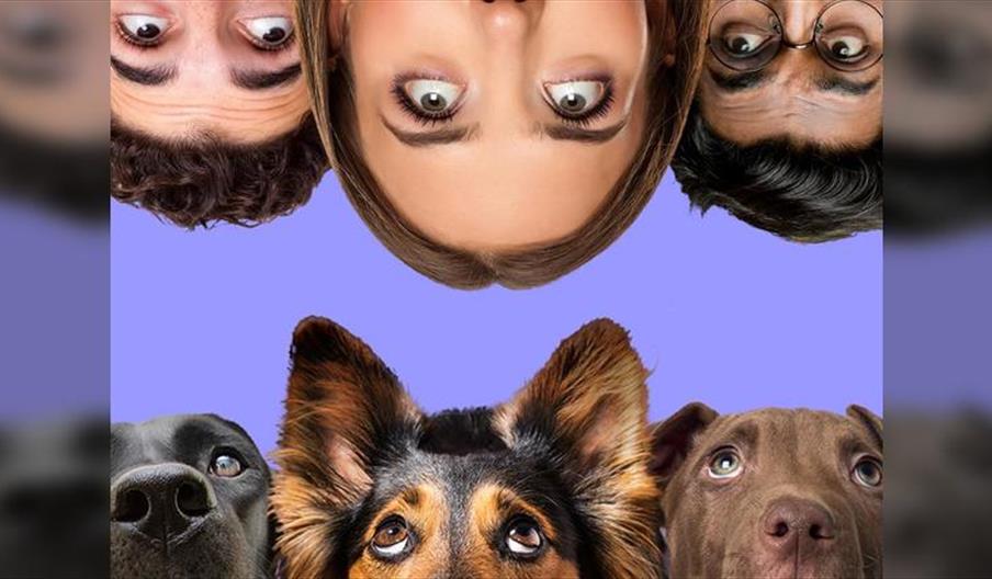 The Psychology of Dogs