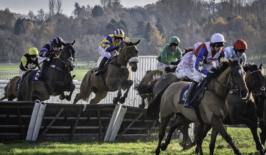 June Afternoon Racing
