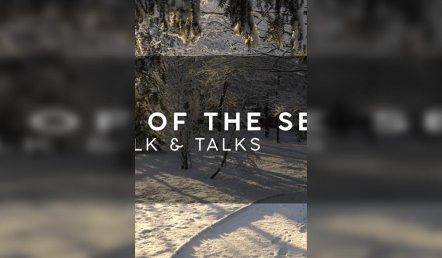 Stories of the Seasons