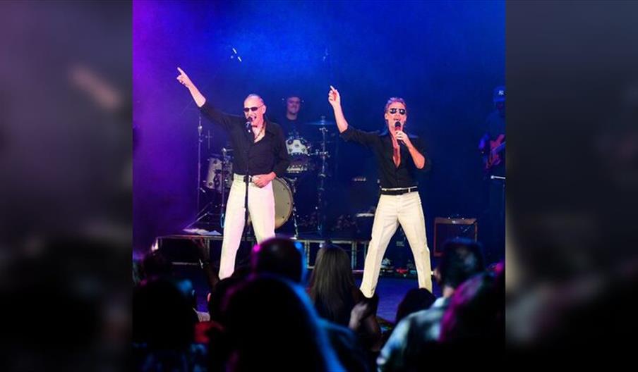 The Magic of the Bee Gees