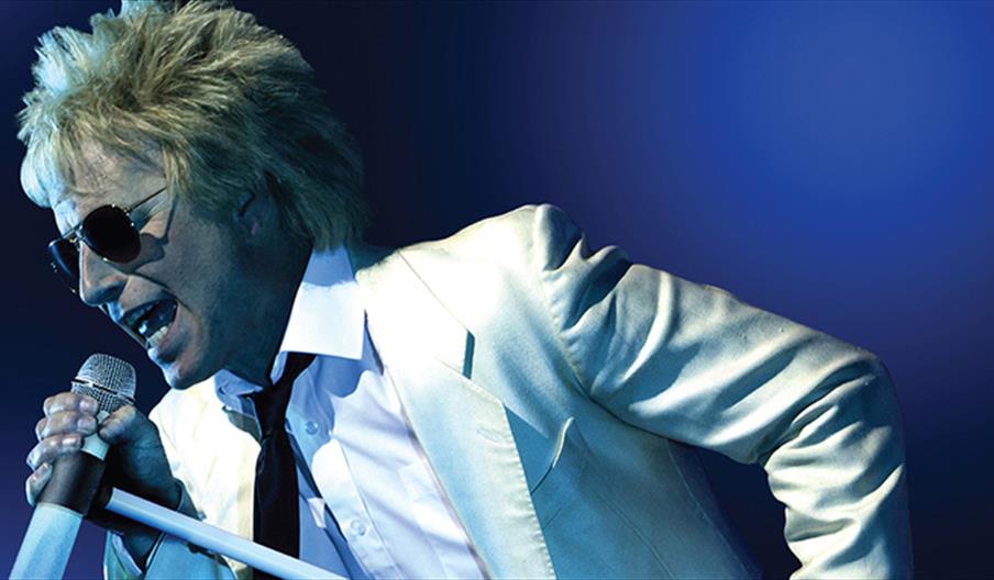 Some Guys Have all the Luck: The Rod Stewart Story
