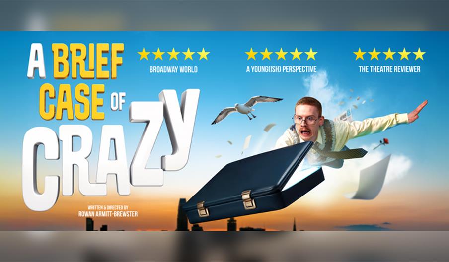 A Brief Case of Crazy