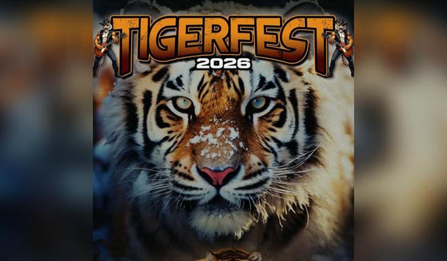 Tigerfest 2026 Sunday Acoustic Wind Down
