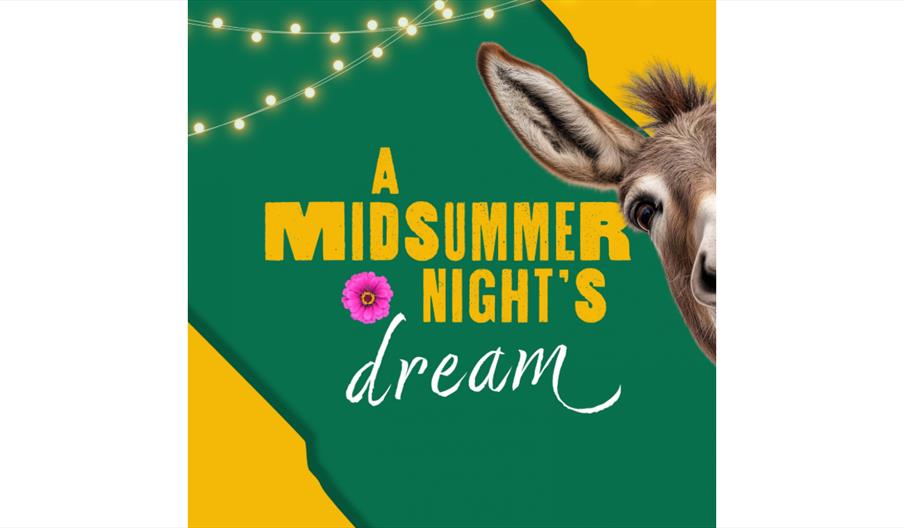 A Midsummer Night's Dream