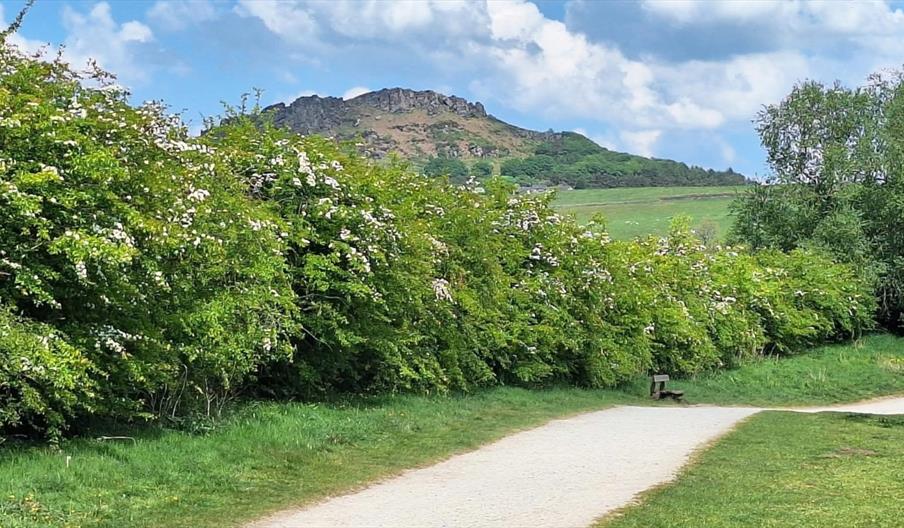 SMWF 2026 (Accessible Trail Event)