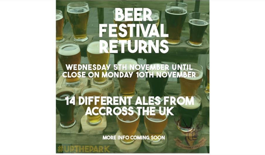 Beer Festival