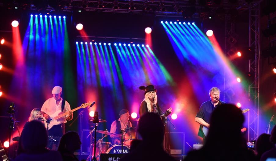 Go Your Own Way - A Tribute to Fleetwood Mac