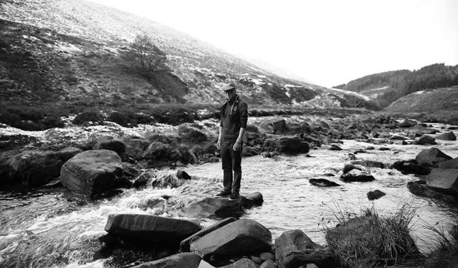 Dave McPherson