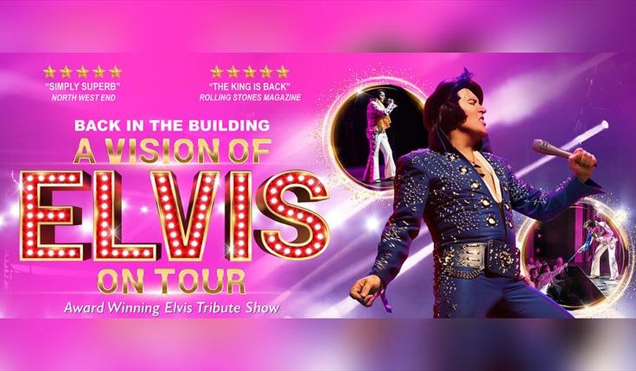 A Vision of Elvis