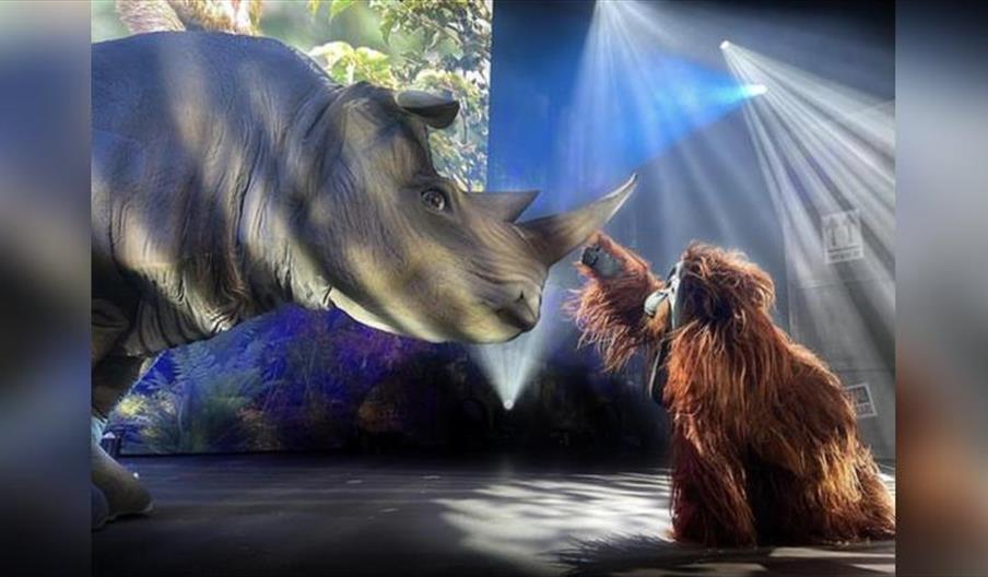 The Animal Guyz: Amazing Animals