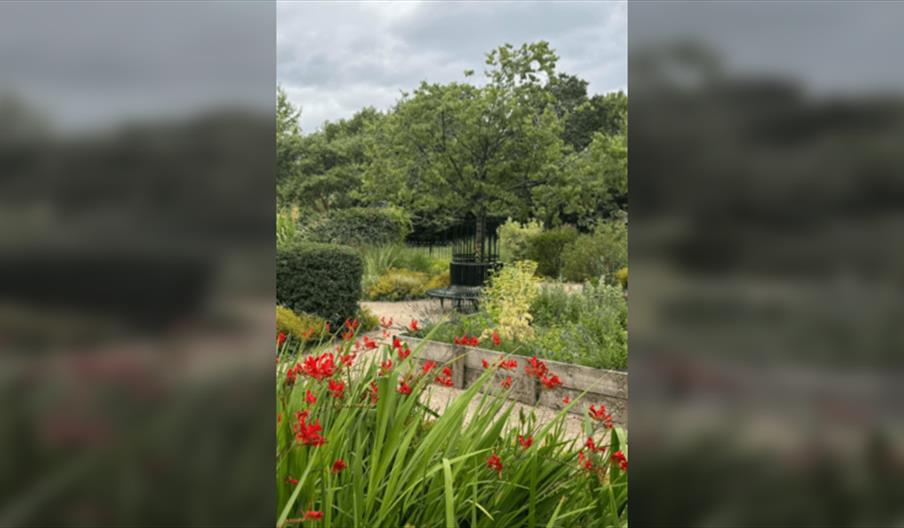 Designed for teens: Brampton wildlife and sensory gardens eco tour