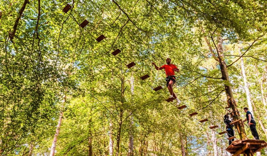Man on tree-to-tree crossing at Go Ape