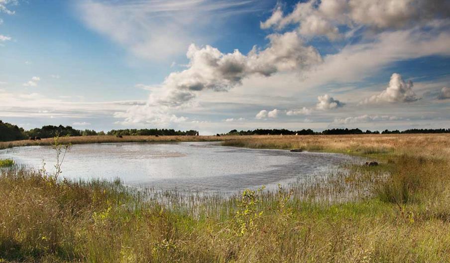 View across the water at Bateswood, photo by David Wain