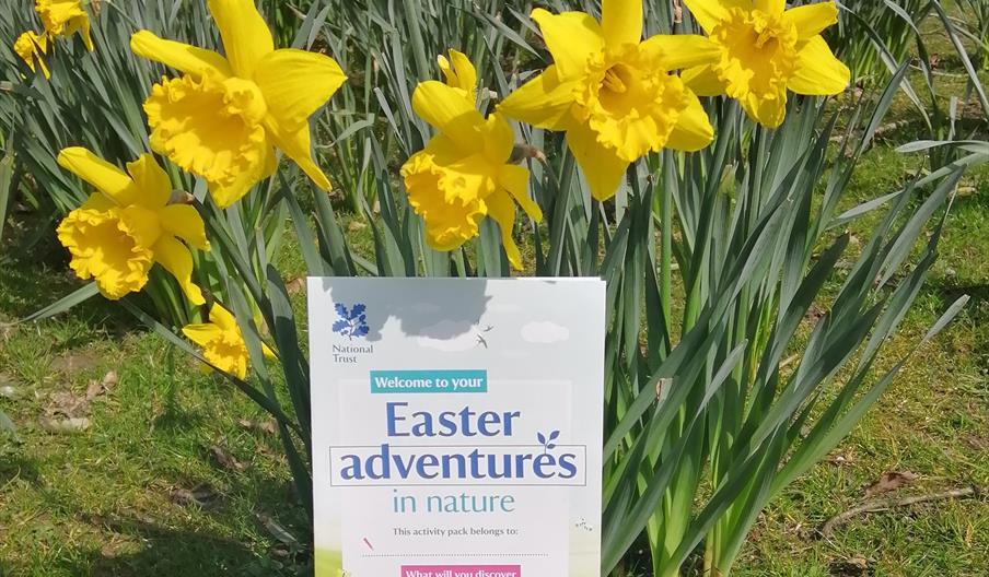 Easter Adventures in nature