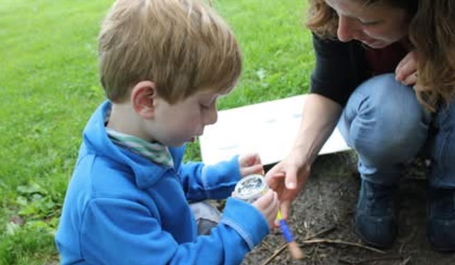 Bioblitz at The Roaches