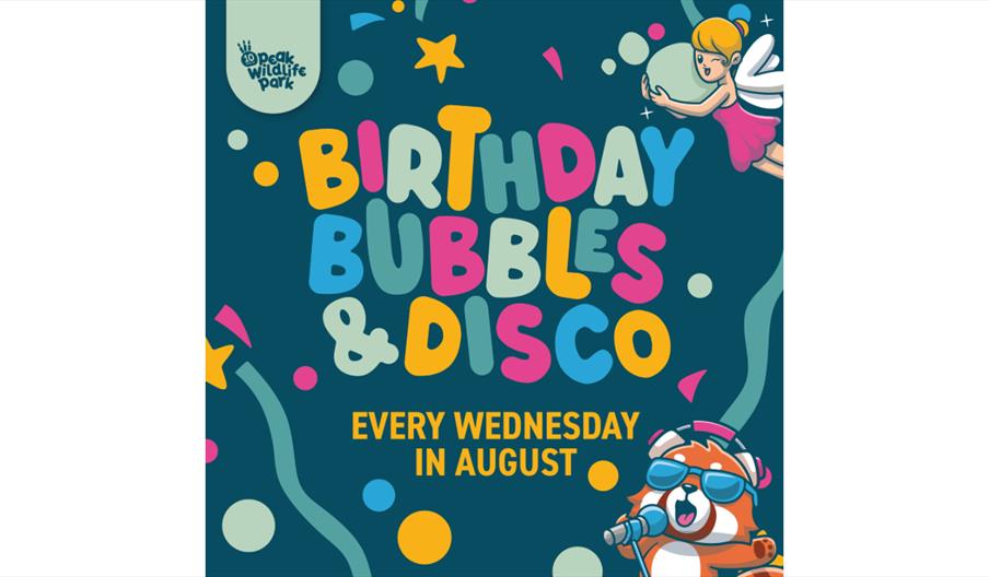 Birthday Bubbles & Disco