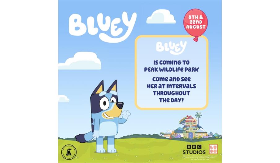 Meet Bluey at Peak Wildlife Park