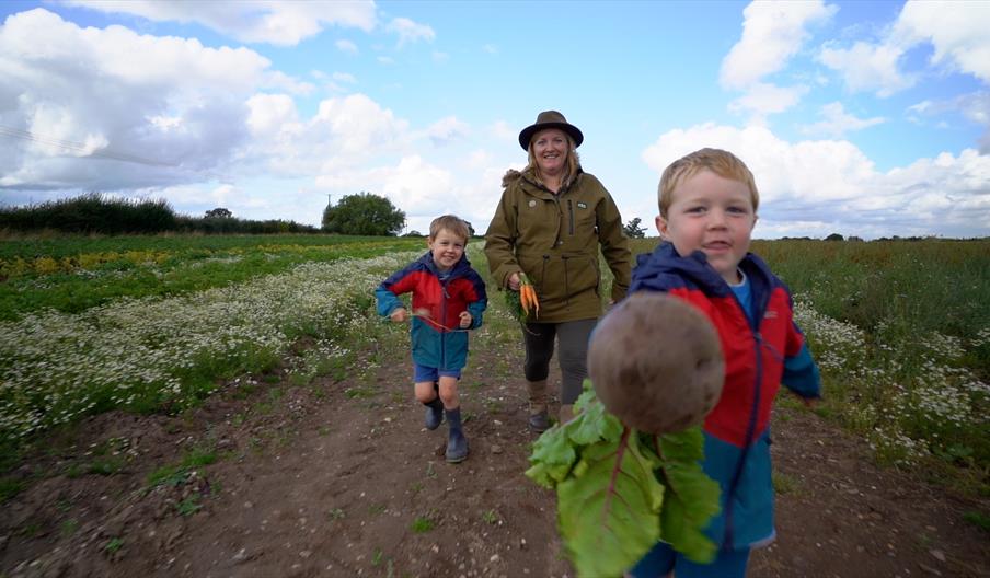 PLAY@ Lower Drayton Farm Harvest Hoedown