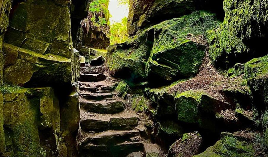image of a chasm with green moss covered rocks and stone steps
