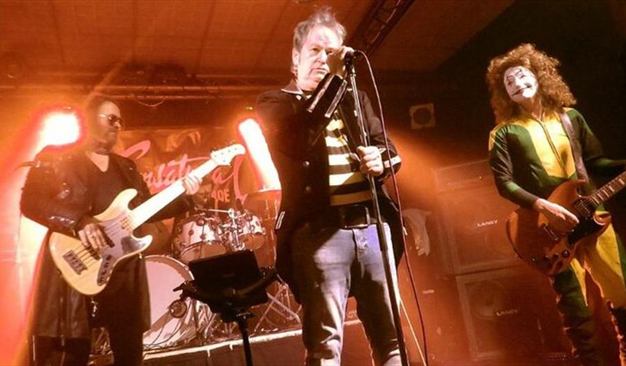 The Sensational Alex Harvey Experience