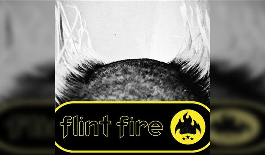 Flint Fire - The Prodigy Tribute