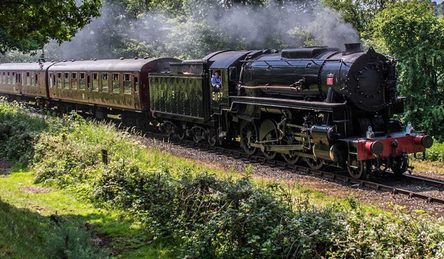 Father's Day Lunch Train
