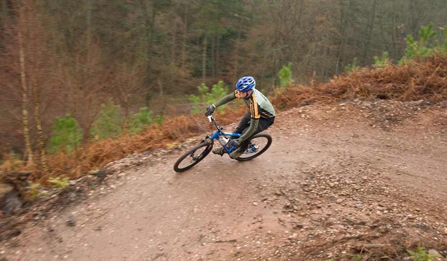 The Monkey Trail