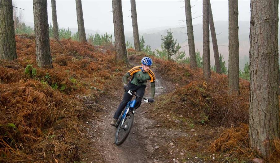 Cannock Chase Forest, Staffordshire offers world-class mountain biking trails and is the venue for 2022 Birmingham Commonwealth Games Mountain Bike ev