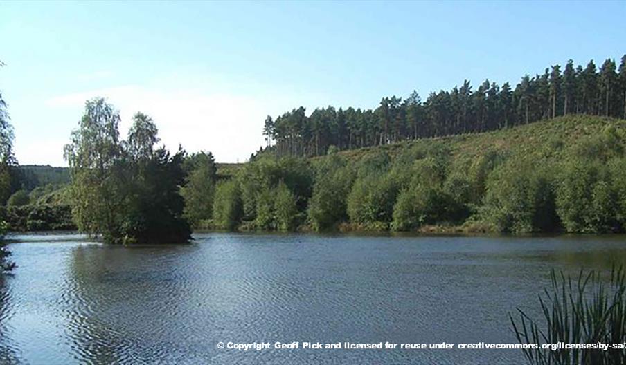 The beautiful Fairoak Pools at Cannock Chase, Staffordshire. Copyright Geoff Pick.