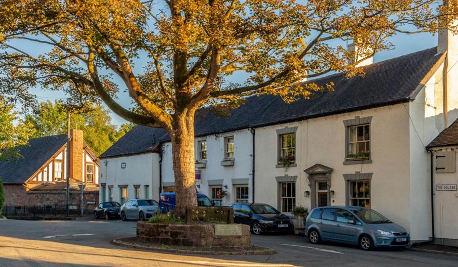 Caverswall village centre crossroads with oak tree and village stocks