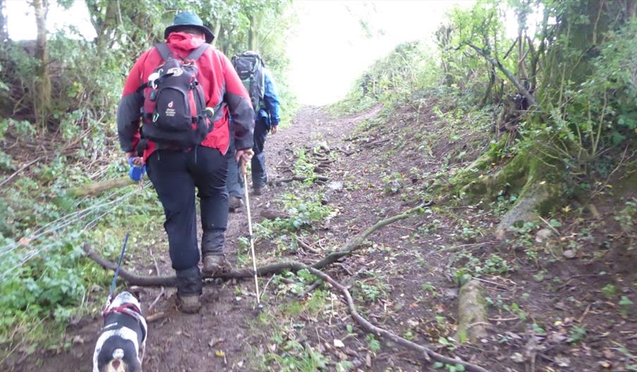 Walk the Moorlands - Raking up the Past