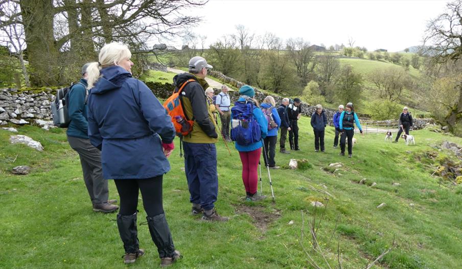image of a group of walkers