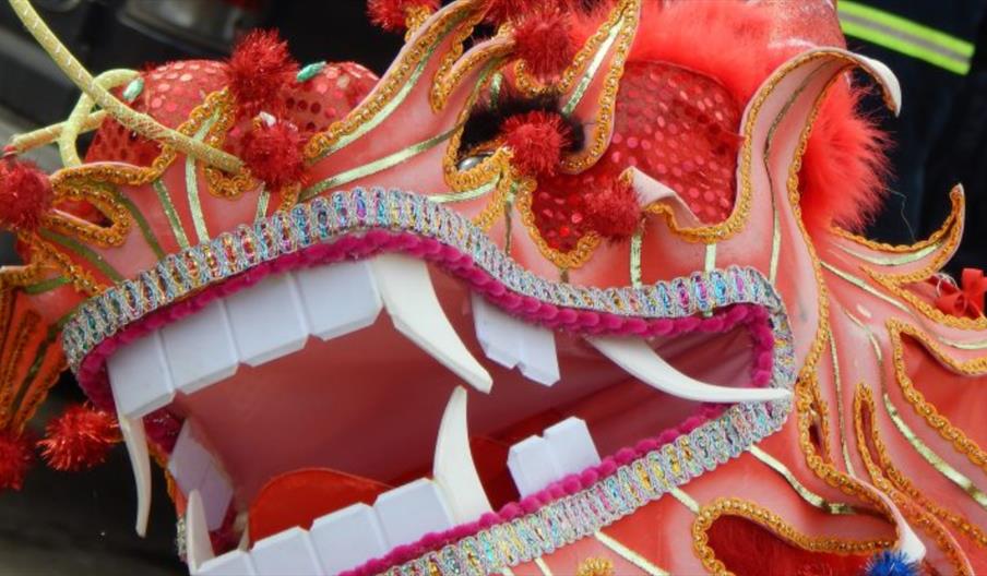 Dragon for Chinese New Year Celebrations