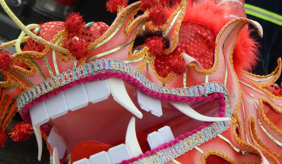Image shows the head of a dragon costume - part of the Chinese New Year celebrations at The Trentham Estate
