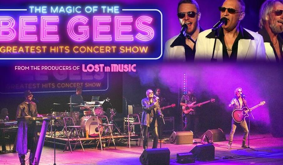 The Magic of the Bee Gees